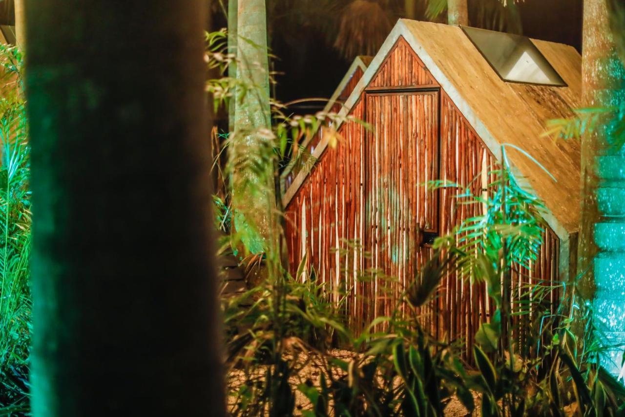 Bufo Alvarius Sanctuary Bacalar Buenavista  المظهر الخارجي الصورة