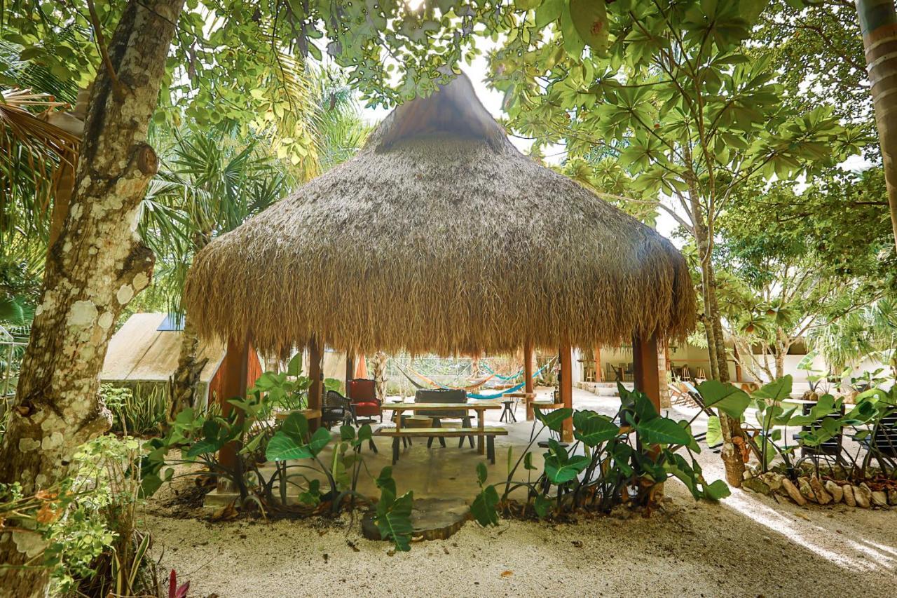 Bufo Alvarius Sanctuary Bacalar Buenavista  المظهر الخارجي الصورة
