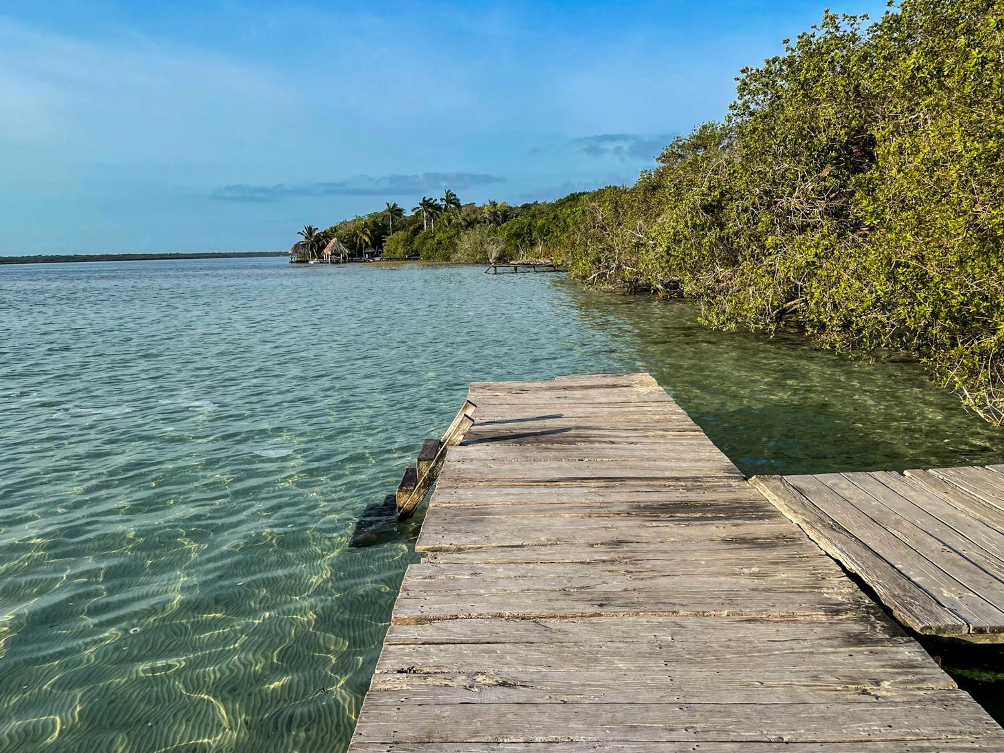 Bufo Alvarius Sanctuary Bacalar Buenavista  المظهر الخارجي الصورة