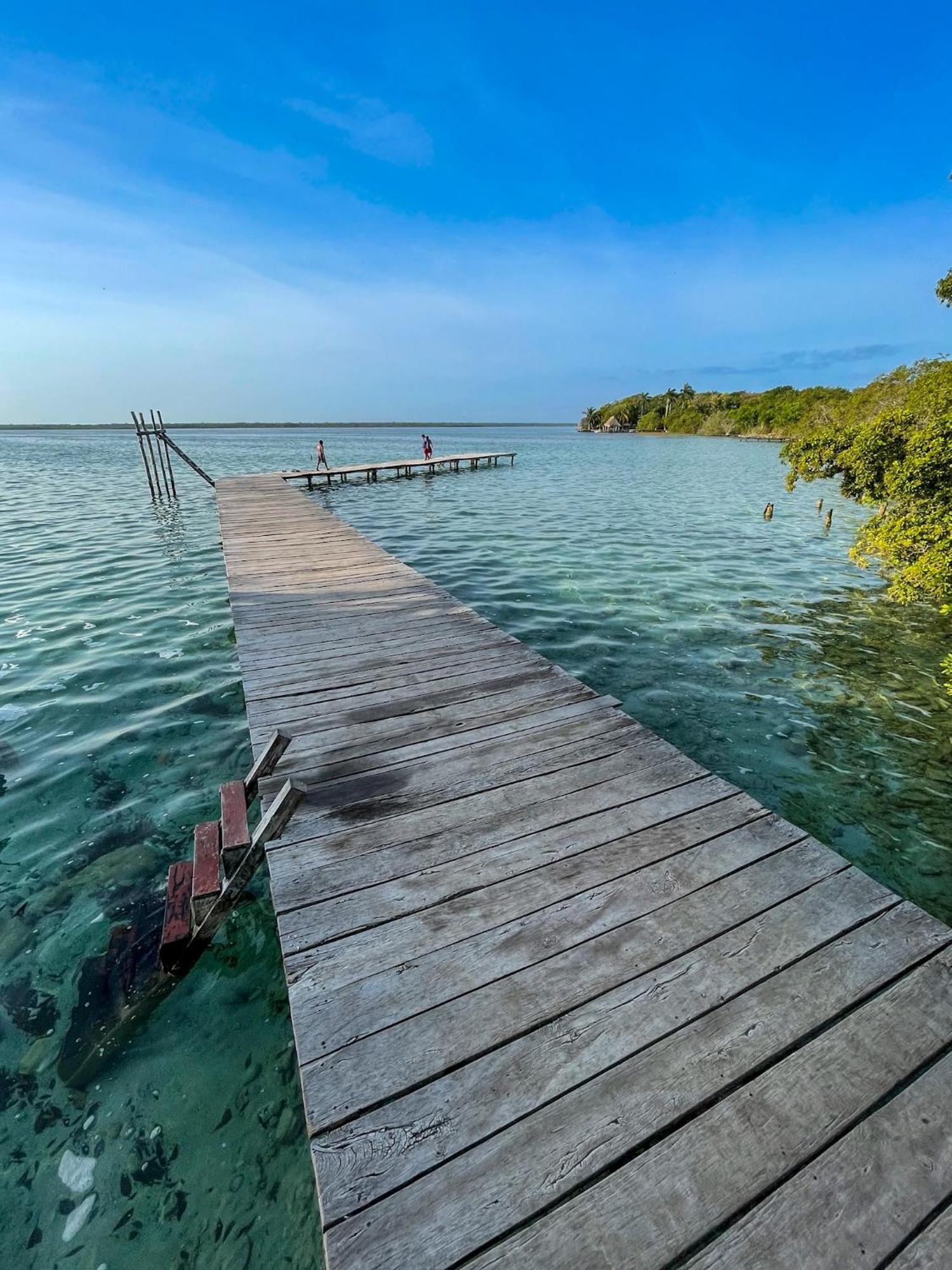 Bufo Alvarius Sanctuary Bacalar Buenavista  المظهر الخارجي الصورة