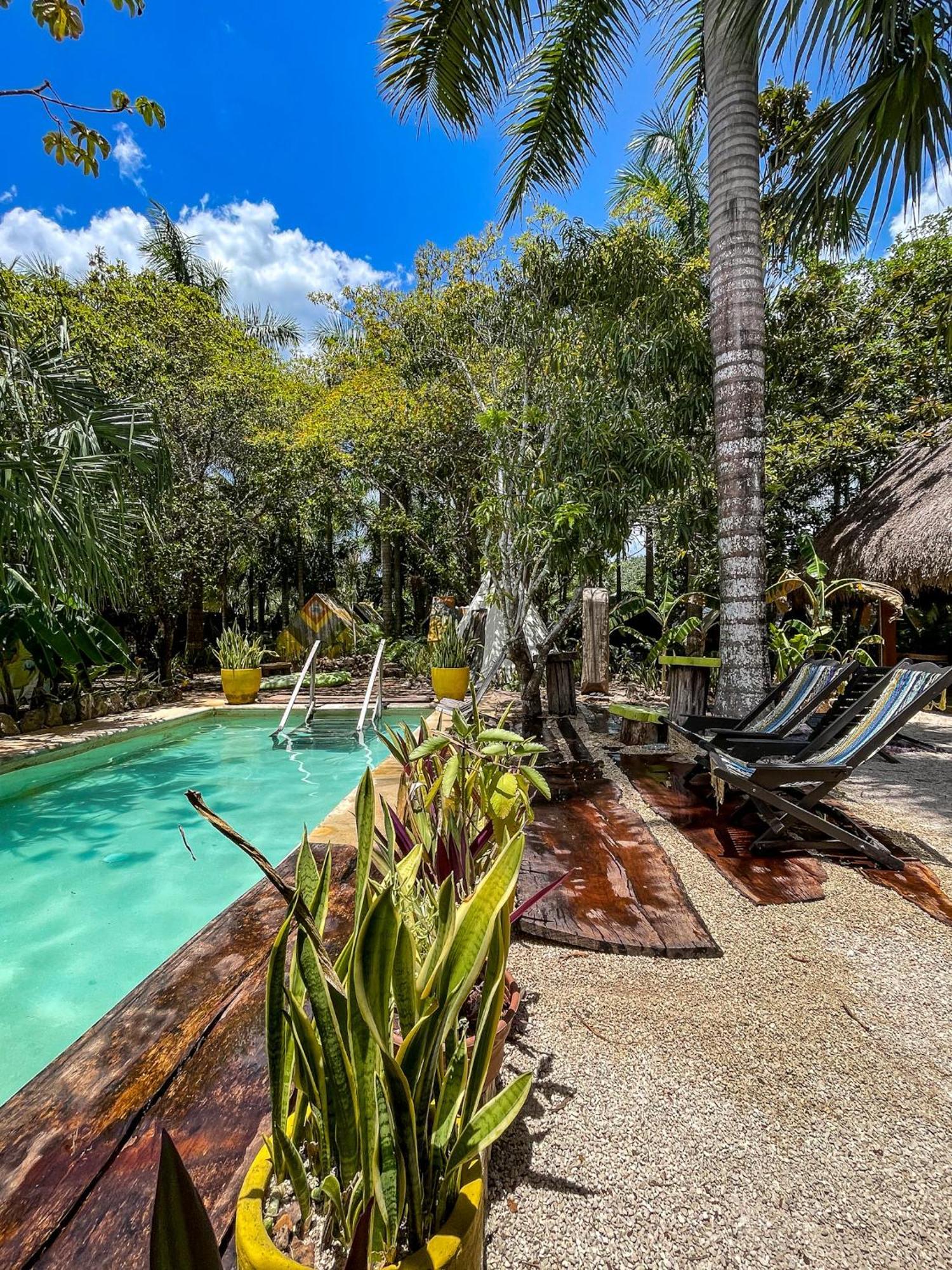 Bufo Alvarius Sanctuary Bacalar Buenavista  المظهر الخارجي الصورة